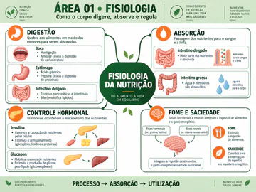 Mapa mental de Fisiologia da Nutrição: digestão, absorção, controle hormonal, fome e saciedade