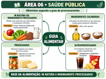 Mapa mental de Saúde Pública com os quatro grupos de alimentos segundo o grau de processamento